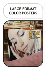 Large Format Color Posters