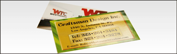 Full Color Sticker Business Cards